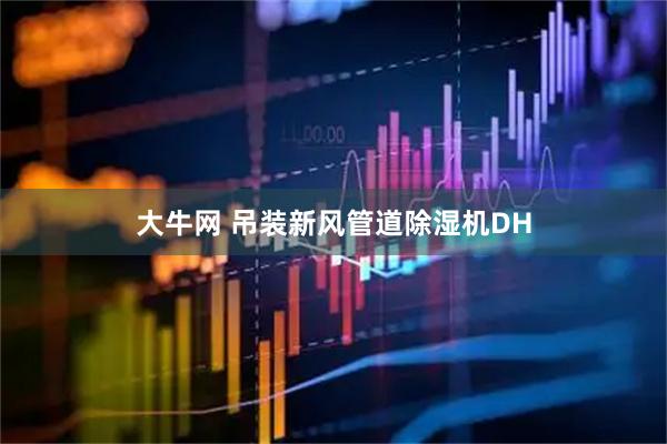 大牛网 吊装新风管道除湿机DH