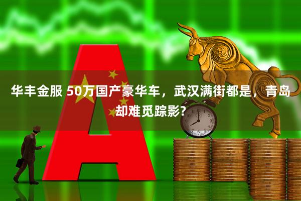 华丰金服 50万国产豪华车，武汉满街都是，青岛却难觅踪影?