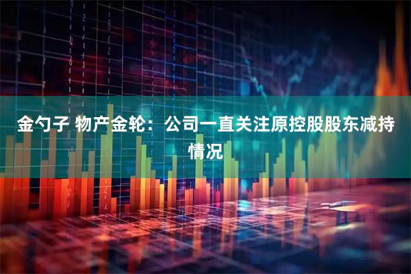 金勺子 物产金轮：公司一直关注原控股股东减持情况