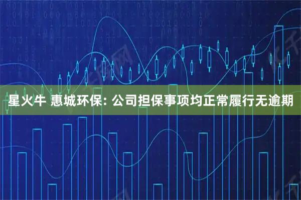 星火牛 惠城环保: 公司担保事项均正常履行无逾期