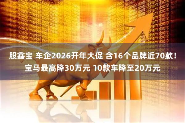 股鑫宝 车企2026开年大促 含16个品牌近70款！宝马最高降30万元 10款车降至20万元
